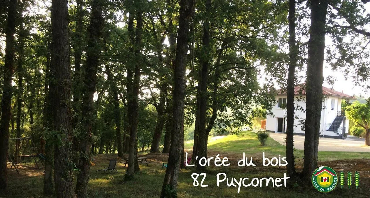 Apartment Gite Cote Vallee Puycornet